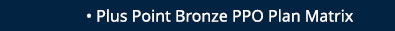 Plus Point Bronze